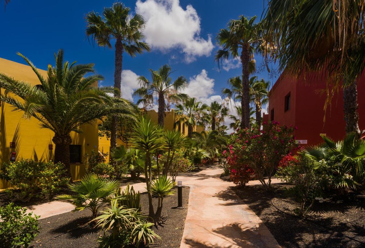 Oasis Vistamar Apartamento